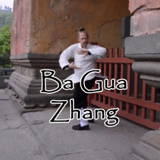 Ba Gua Zhang